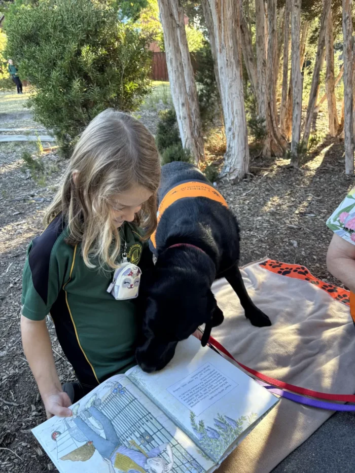 Variety grant, Story dogs at a Tasmanian school